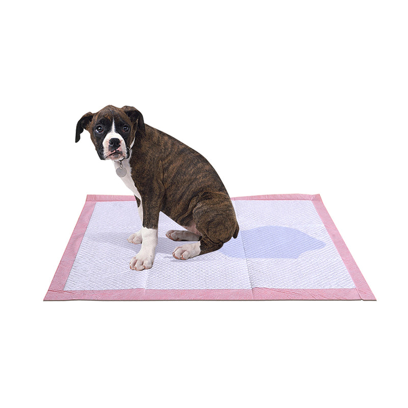 PaWz 100 Pcs 60x60 cm Pet Puppy Toilet Training Pads Absorbent Lavender Scent