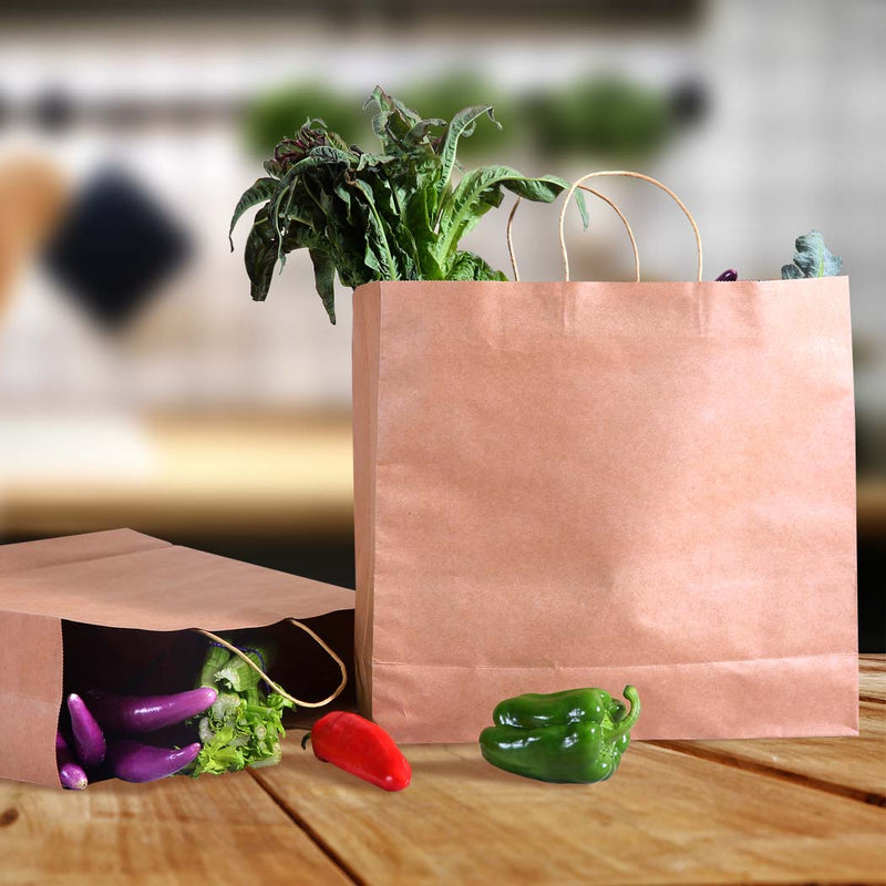 50x Brown Paper Bag Kraft Eco Recyclable Gift Carry Shopping Retail Bags Handles