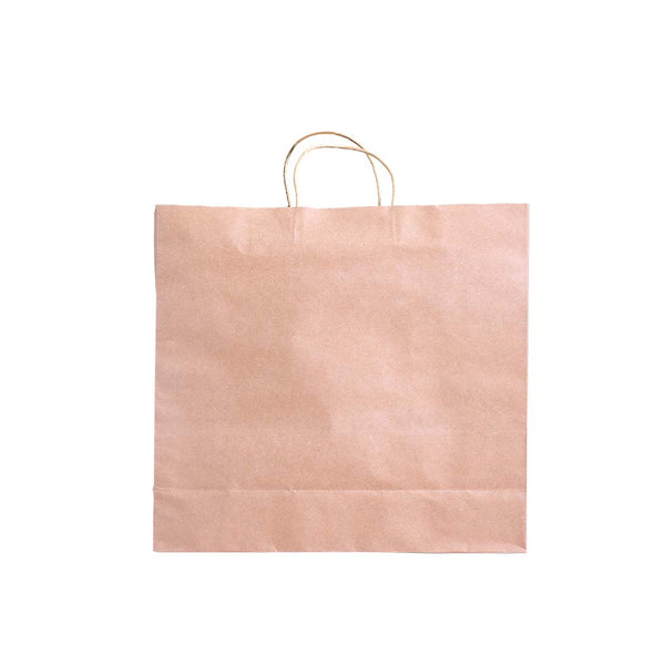 50x Brown Paper Bag Kraft Eco Recyclable Gift Carry Shopping Retail Bags Handles