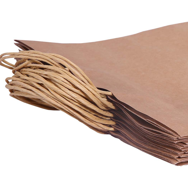 50x Brown Paper Bag Kraft Eco Recyclable Gift Carry Shopping Retail Bags Handles