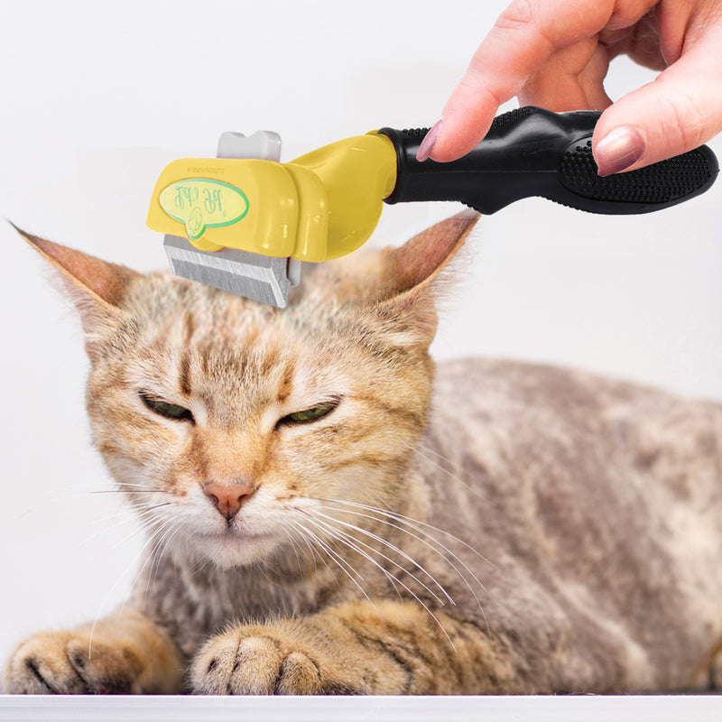 PaWz Pet Dog Cat Comb Massager Grooming Brush Relaxing Hair Removal Tool L