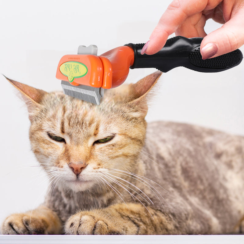 PaWz Pet Dog Cat Comb Massager Grooming Brush Relaxing Hair Removal Tool M