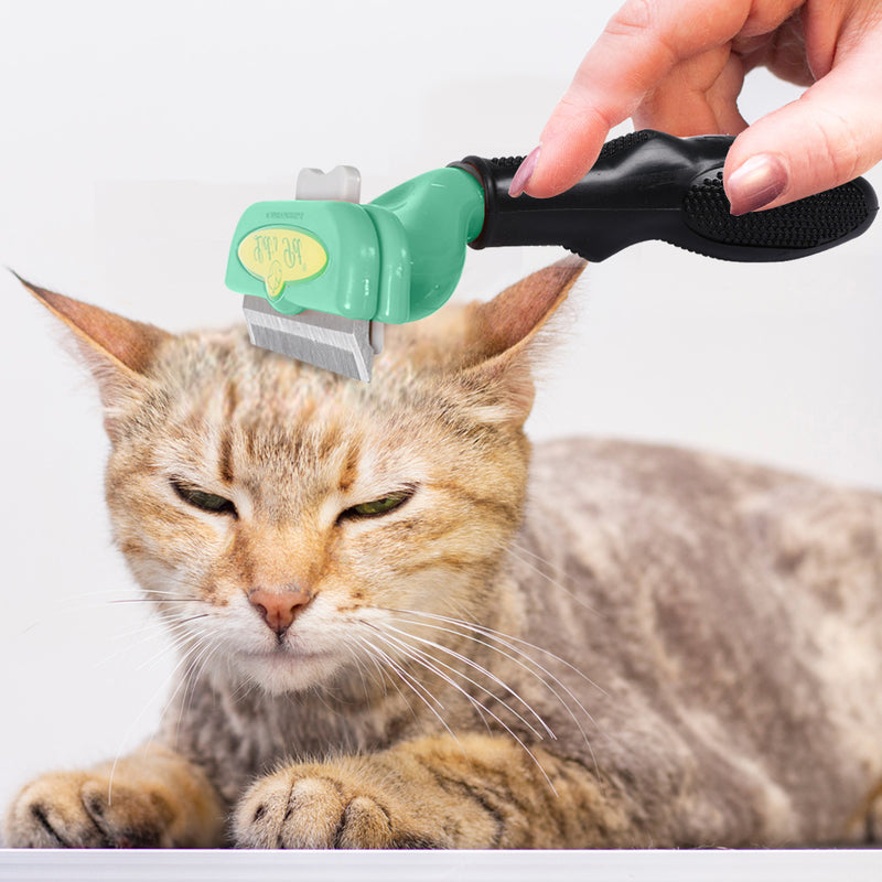 PaWz Pet Dog Cat Comb Massager Grooming Brush Relaxing Hair Removal Tool S