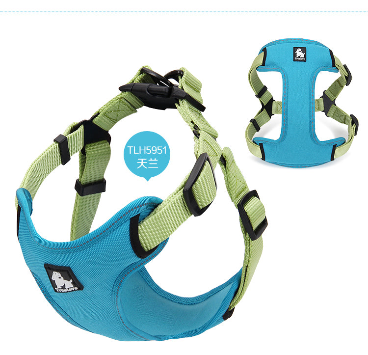 Urban Harness Blue/Green S