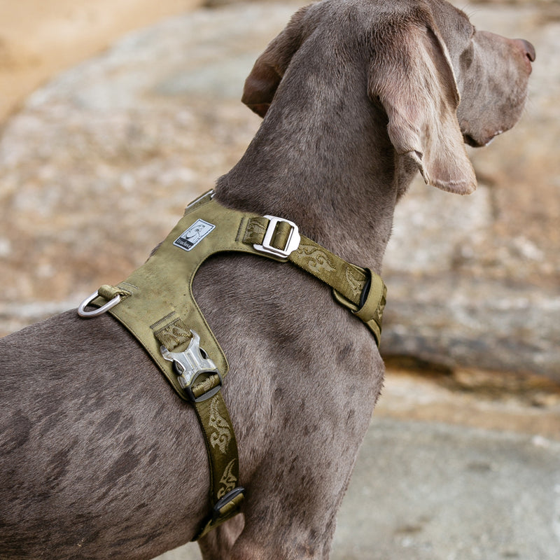 Lightweight Harness Army Green M