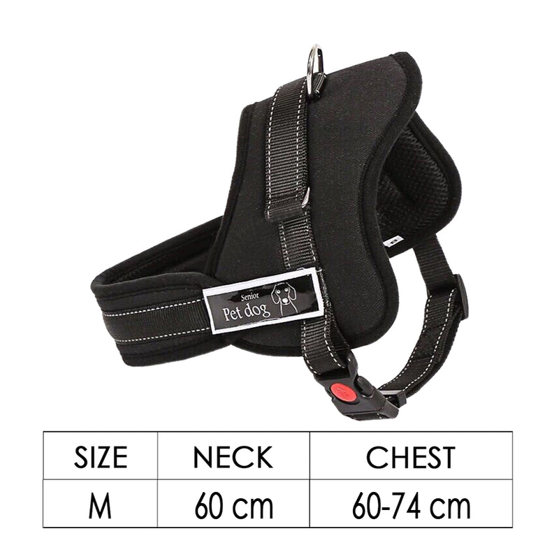 Dog Adjustable Harness Support Pet Training Control Safety Hand Strap Size M