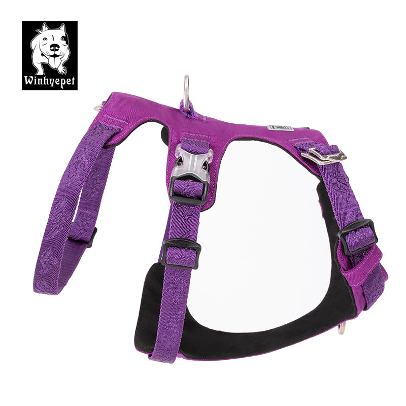 Whinhyepet Harness Purple L