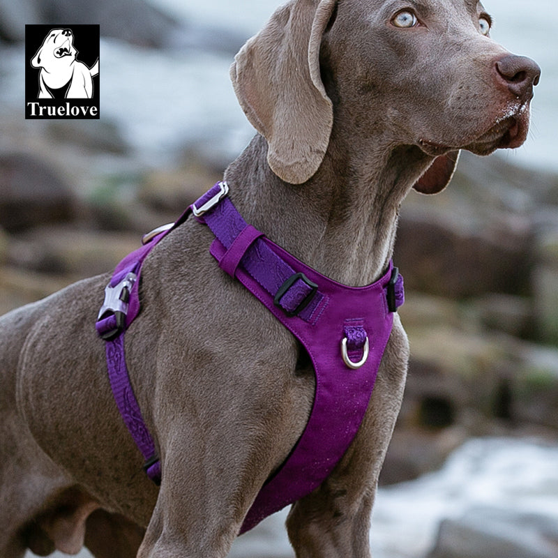 Lightweight Harness Purple XL