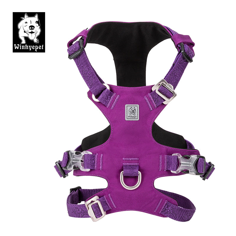 Whinhyepet Harness Purple S