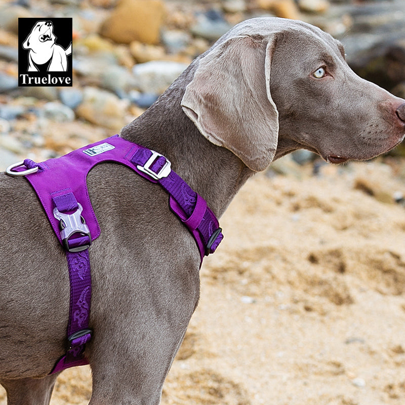 Lightweight Harness Purple L