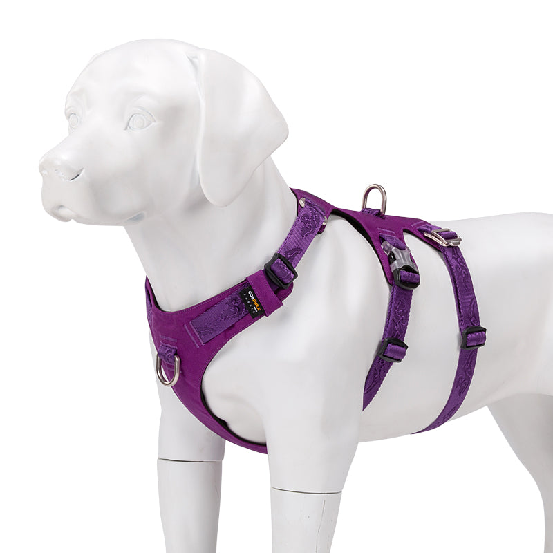 Whinhyepet Harness Purple L